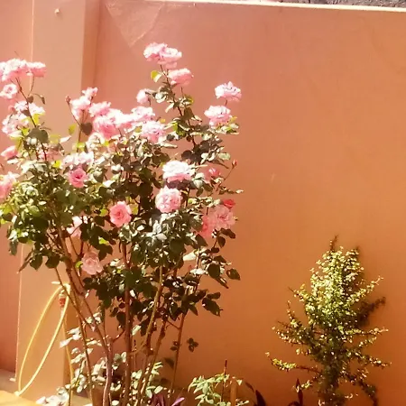 Bed & Breakfast Monte Lora *